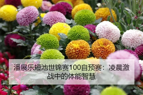 潘展乐短池世锦赛100自预赛：凌晨激战中的体能智慧